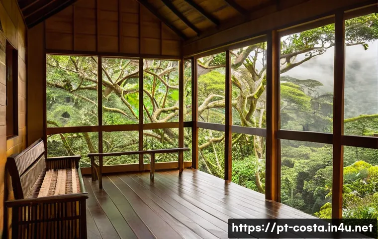 Costa Rica em 2025: Desvende o Orçamento de Sonho e Dicas Para Não Gastar Muito 3 코스타리카 여행 비용 예상 관련 이미지 1