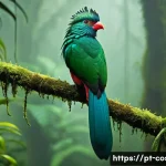 Home 22 코스타리카 희귀 동식물 리스트 - **A Vibrant Resplendent Quetzal in a Mystical Cloud Forest.** A male Resplendent Quetzal (Pharomachr...