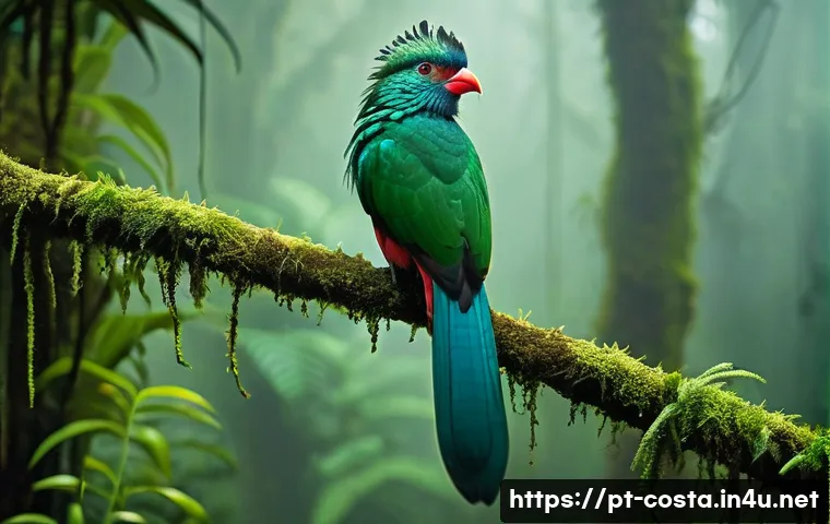코스타리카 희귀 동식물 리스트 - **A Vibrant Resplendent Quetzal in a Mystical Cloud Forest.** A male Resplendent Quetzal (Pharomachr...